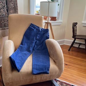 Everlane Way High Curvy Jean